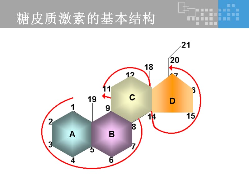 氟轻松是如何发挥其药理作用的？